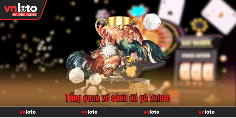 Tổng quan về sảnh đá gà Vnloto