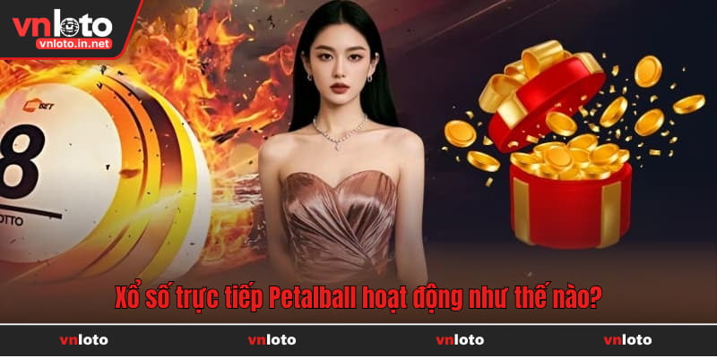 Xổ số trực tiếp Petalball hoạt động như thế nào?